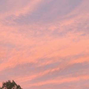 Meet your Posher, Mackenzie